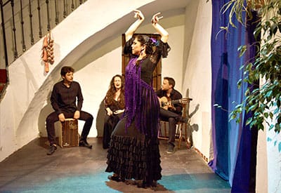 enseignement du flamenco